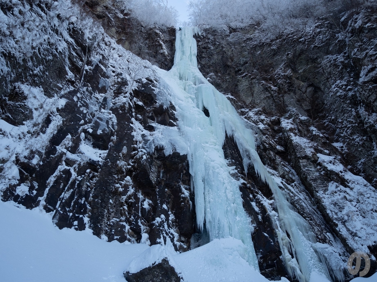 f:id:di82:20220121132301j:plain