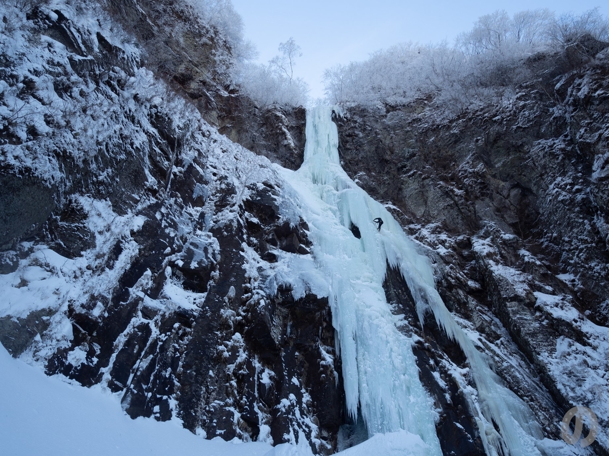 f:id:di82:20220121132326j:plain