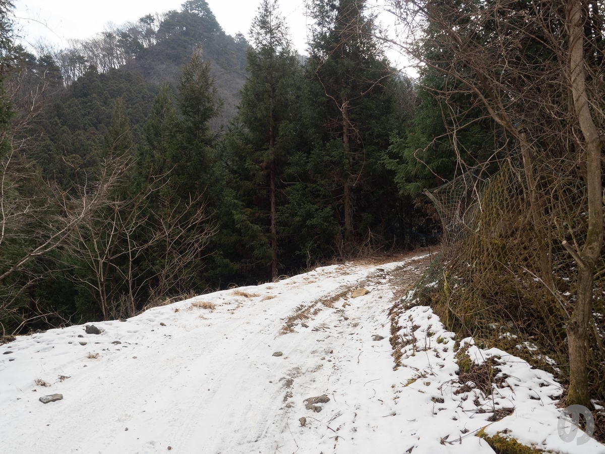 f:id:di82:20220127170914j:plain