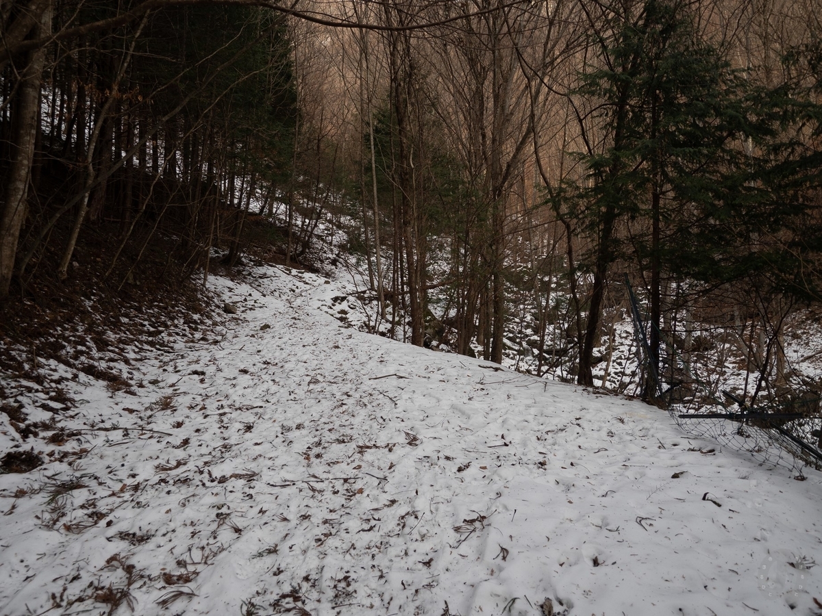 f:id:di82:20220127171008j:plain