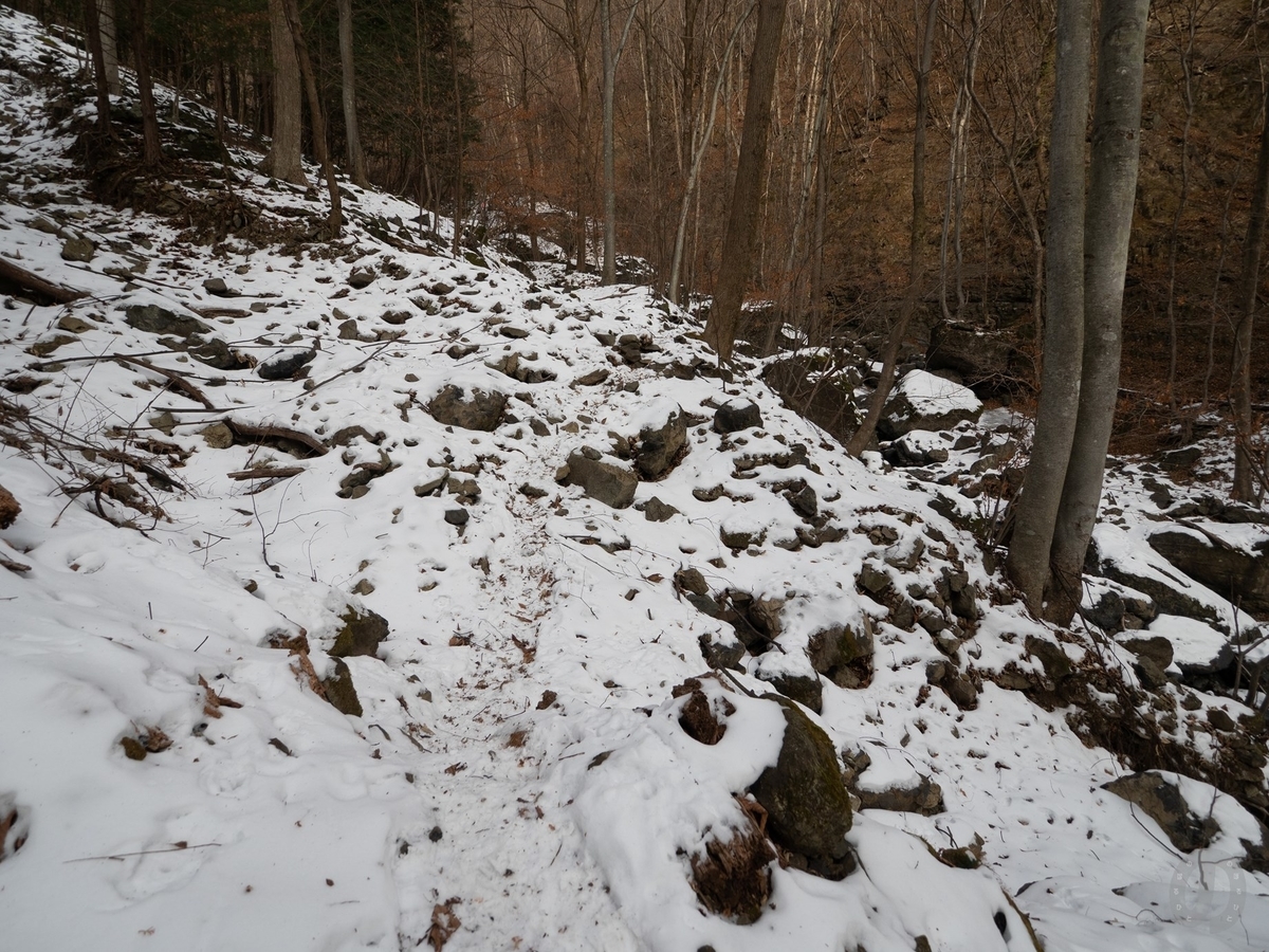 f:id:di82:20220127171029j:plain