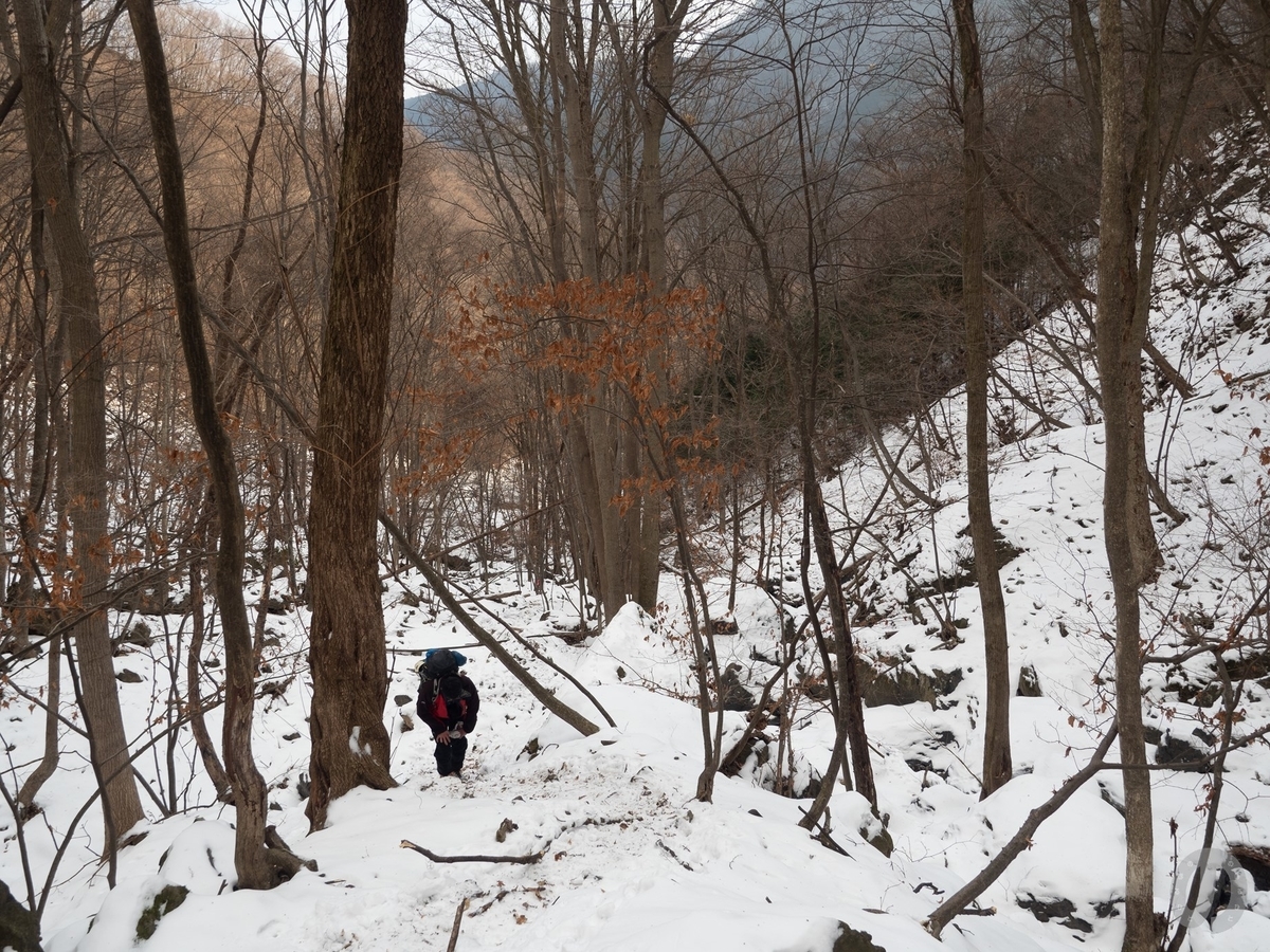 f:id:di82:20220127171149j:plain