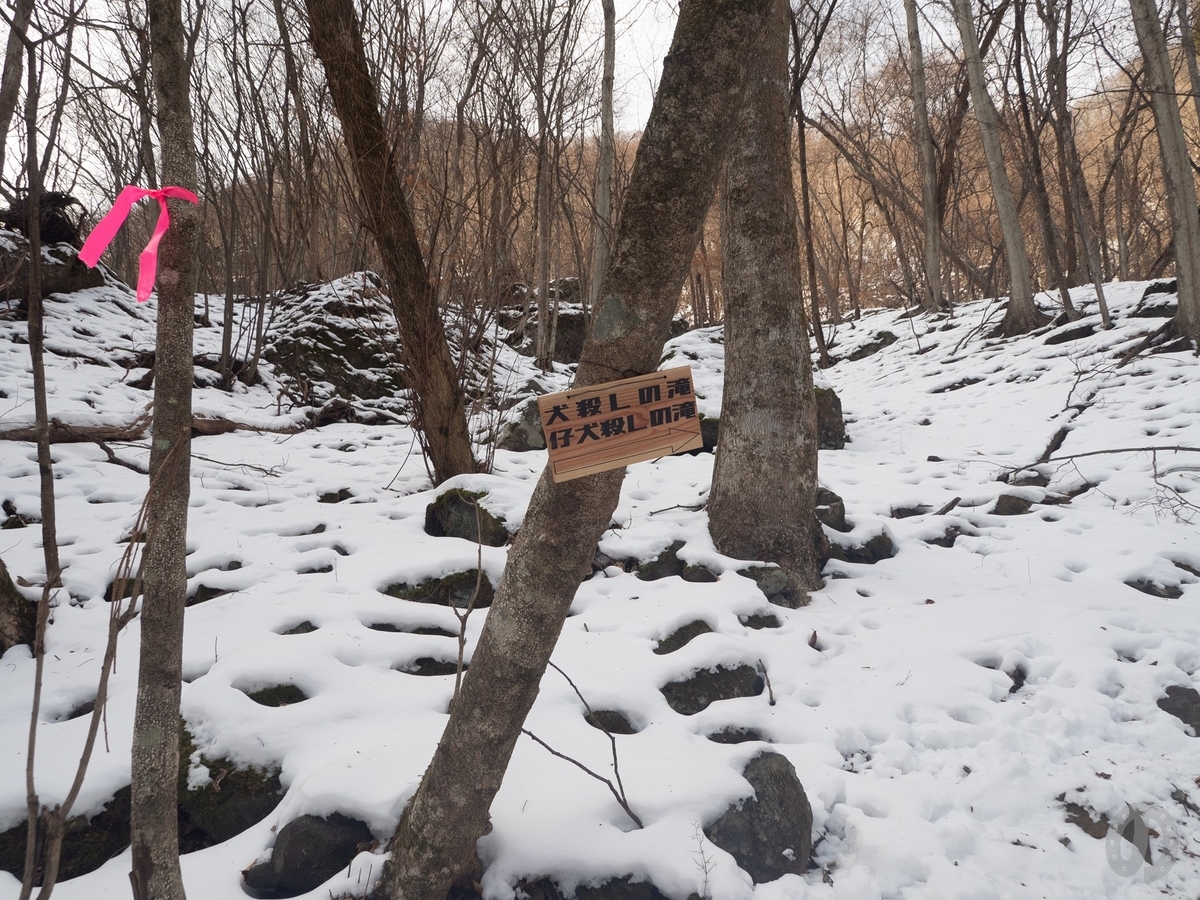 f:id:di82:20220127171711j:plain