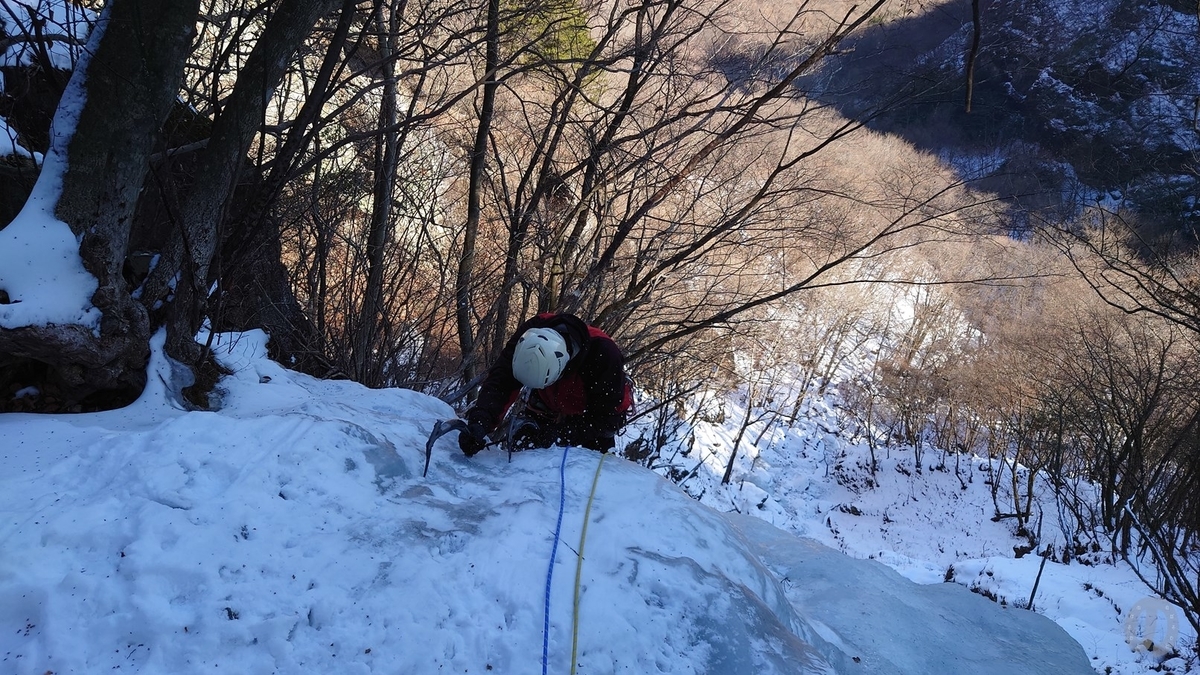 f:id:di82:20220127175035j:plain