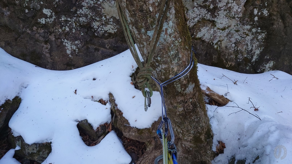 f:id:di82:20220127175113j:plain