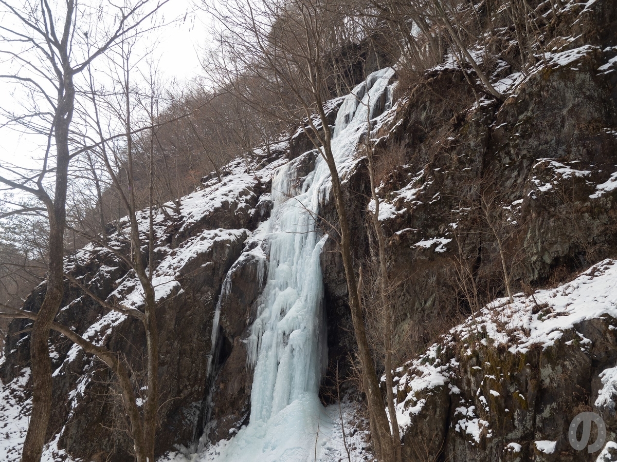 f:id:di82:20220127183358j:plain