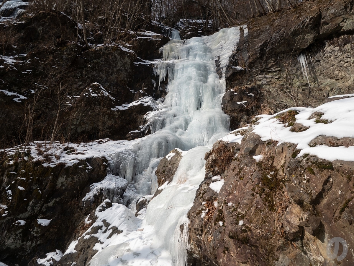 f:id:di82:20220127183409j:plain