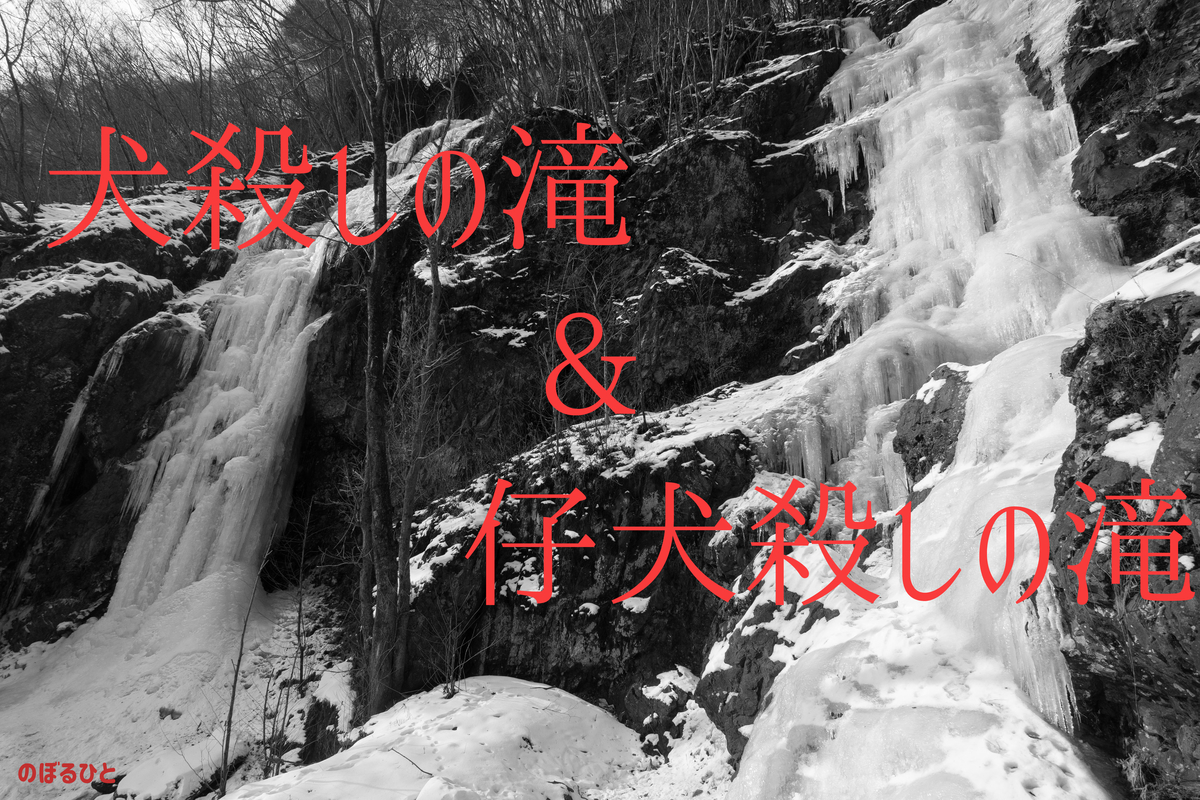 f:id:di82:20220127184752j:plain