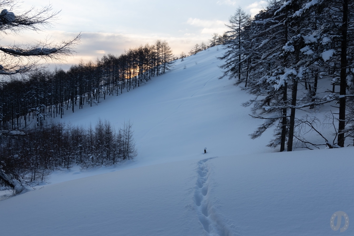 f:id:di82:20220219193426j:plain