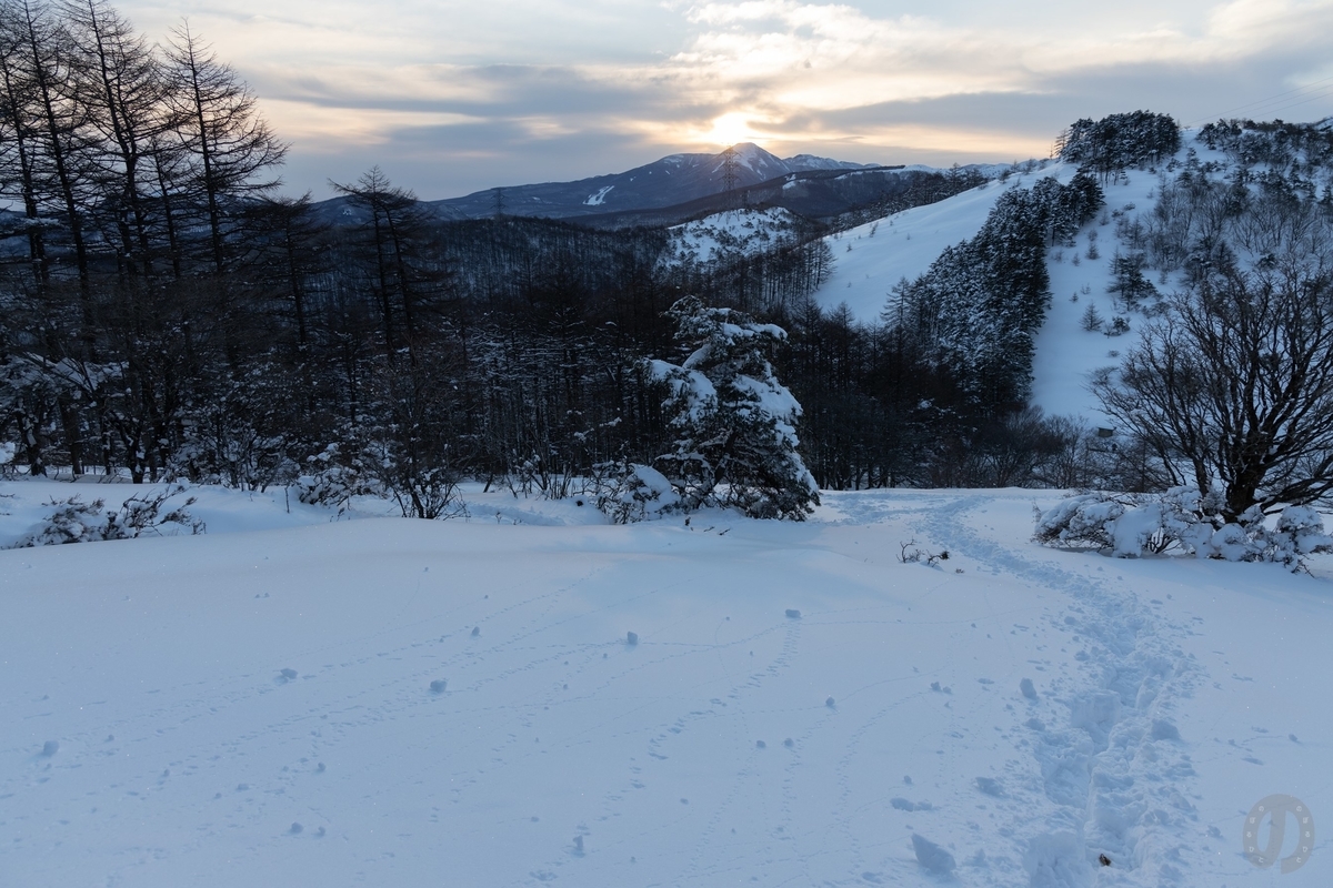 f:id:di82:20220219193524j:plain