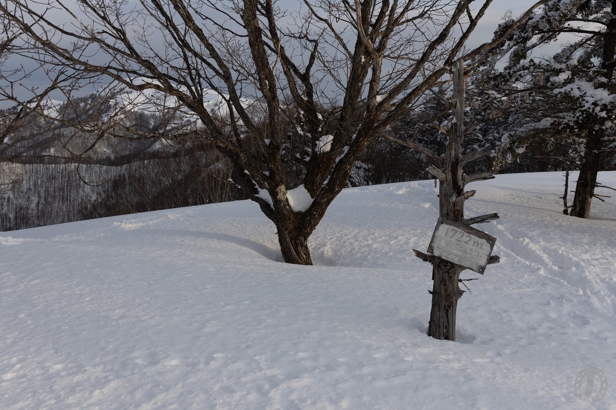 f:id:di82:20220219194058j:plain