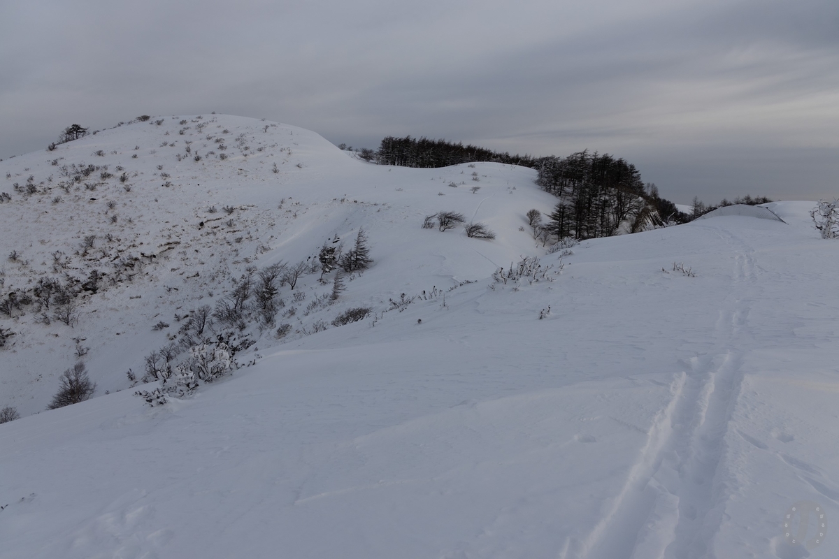 f:id:di82:20220219195301j:plain