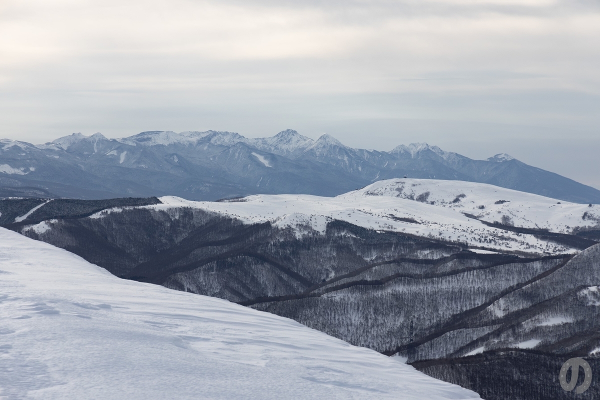 f:id:di82:20220219200237j:plain