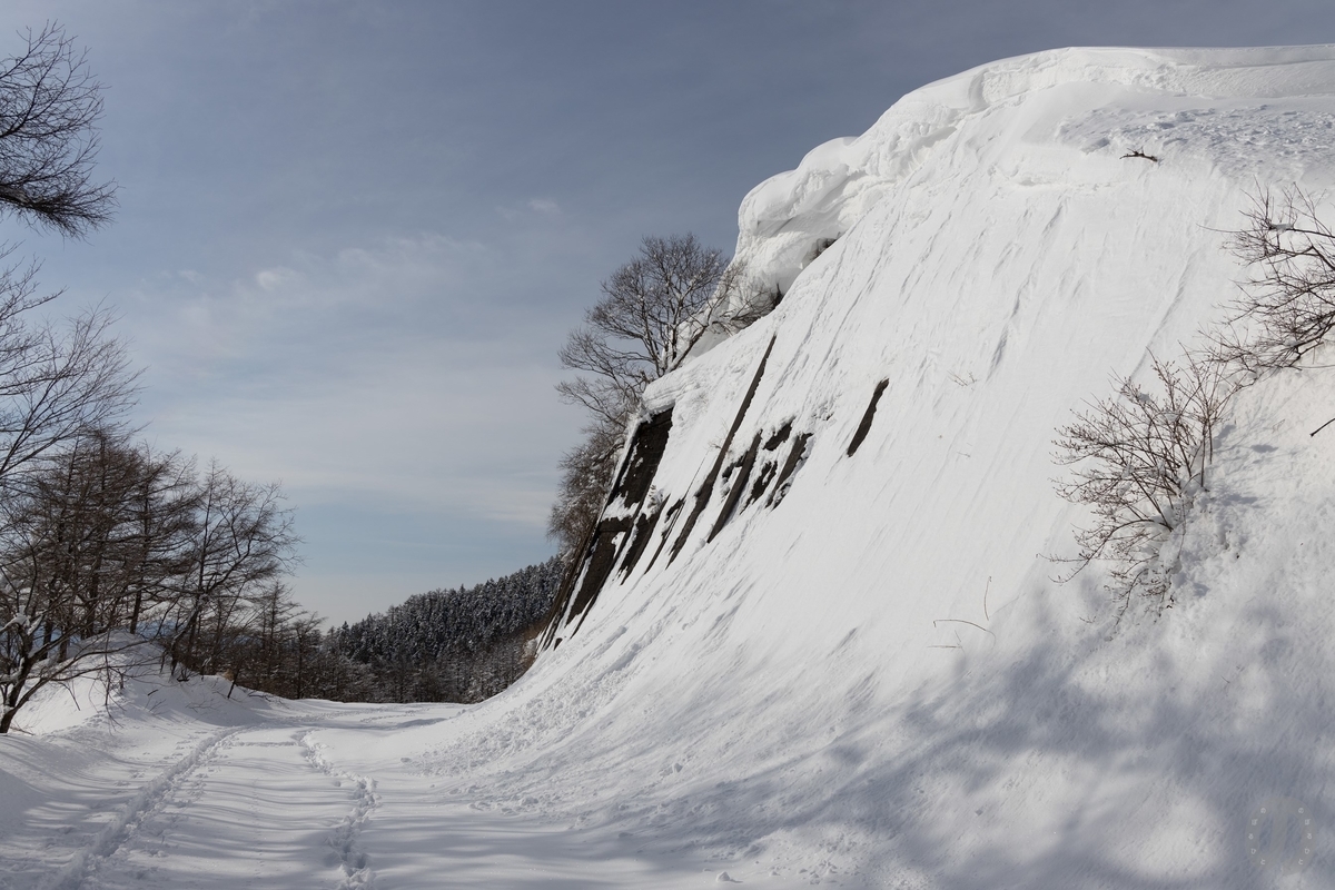 f:id:di82:20220219201130j:plain