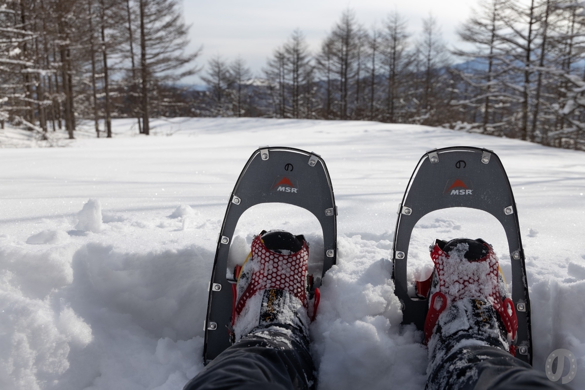 f:id:di82:20220219201149j:plain