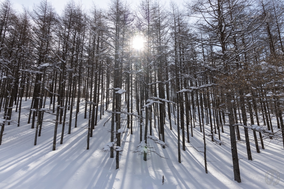 f:id:di82:20220219201448j:plain