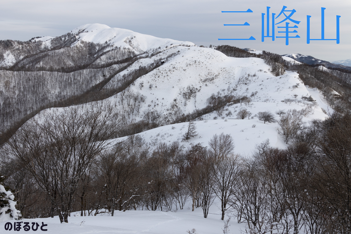 f:id:di82:20220219203929j:plain