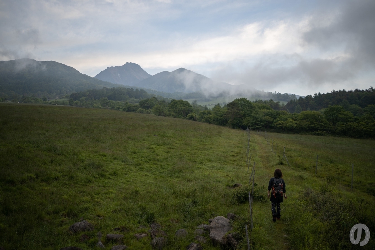 f:id:di82:20220306201459j:plain