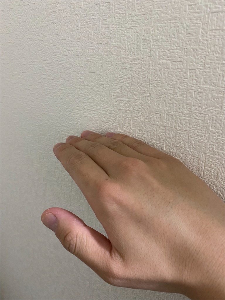 f:id:diavolo_19:20211202120947j:plain