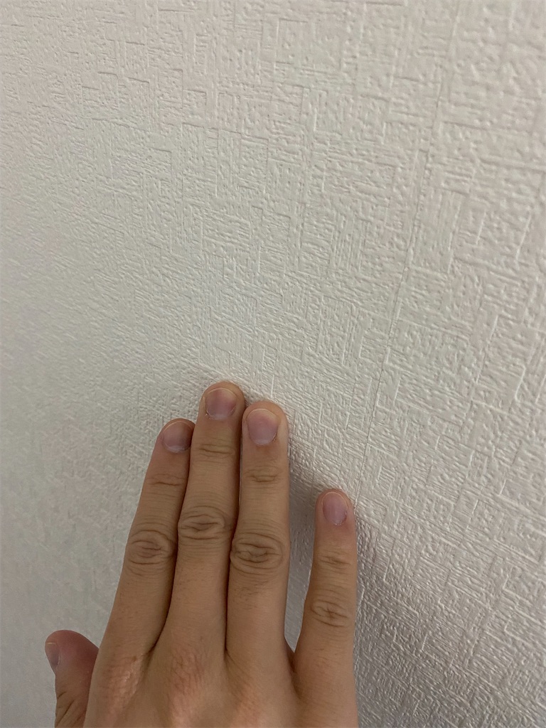 f:id:diavolo_19:20211202121006j:plain