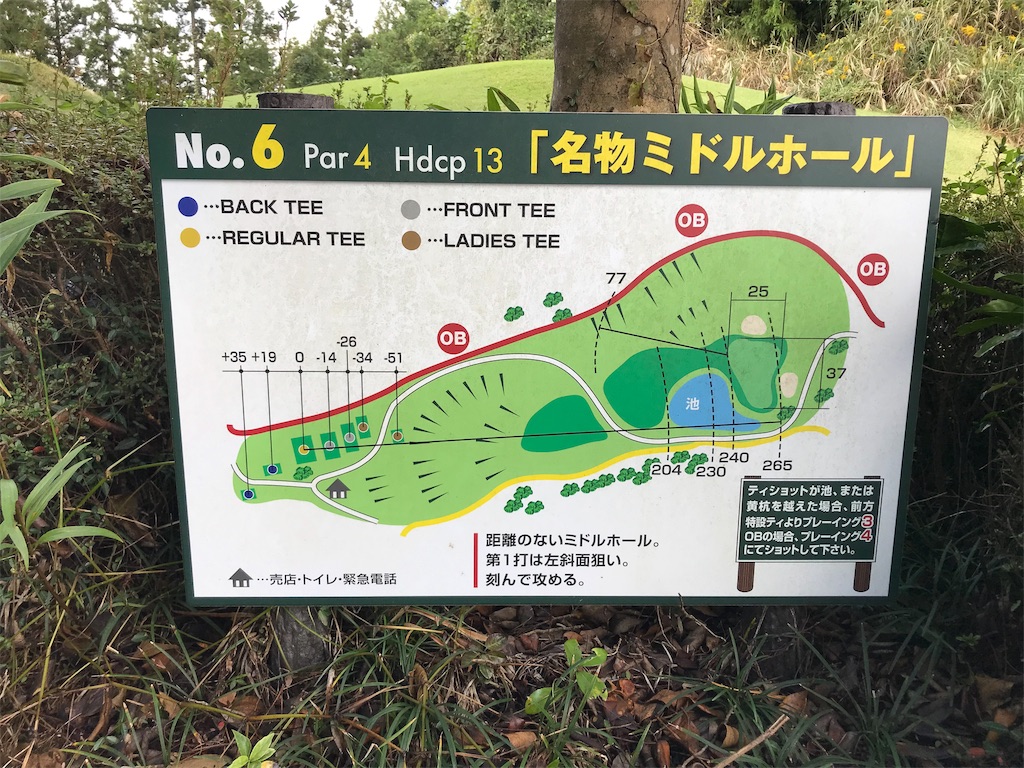 f:id:dice-k-lucky:20191020181535j:image