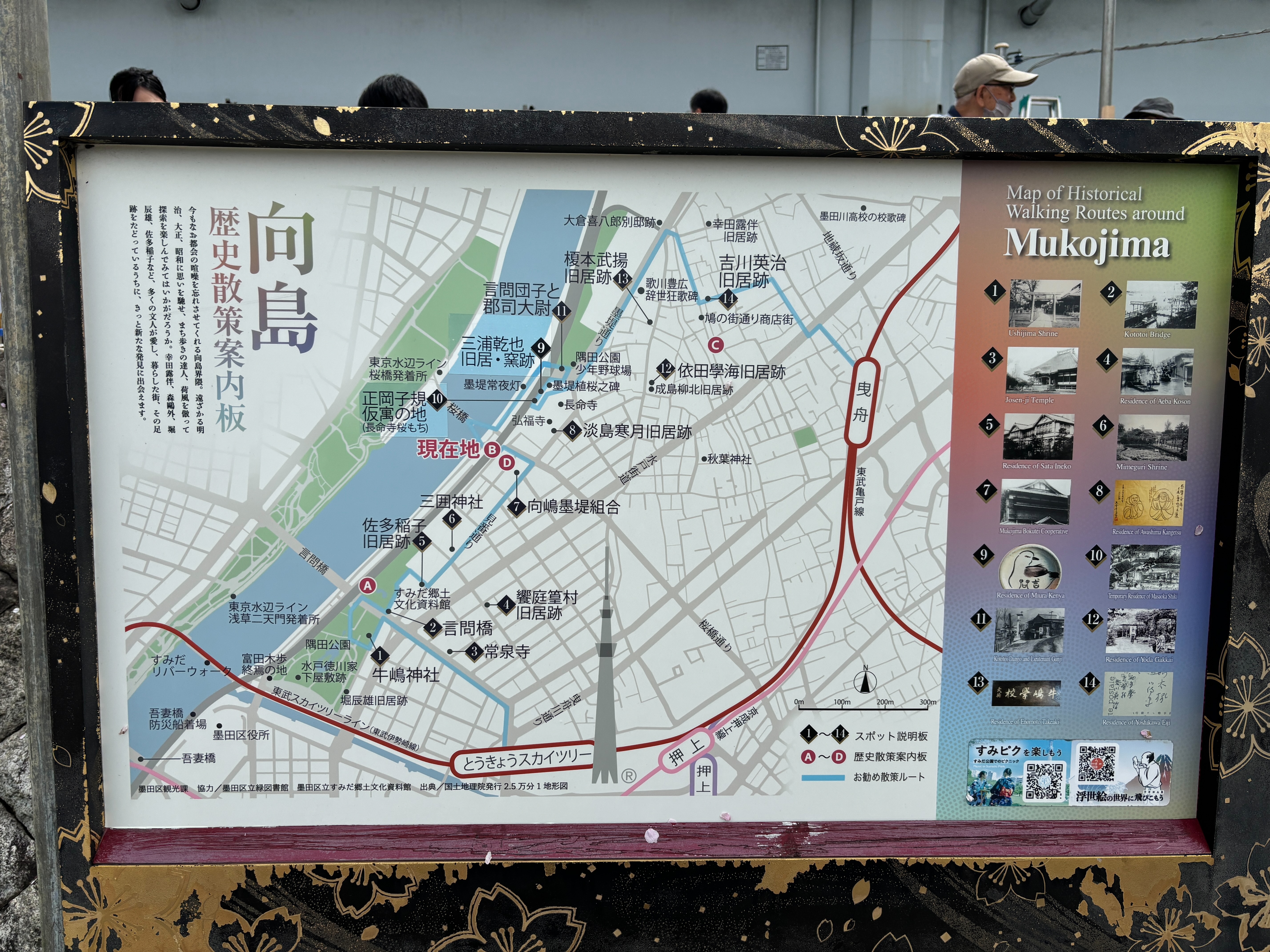 f:id:diceKcamp:20260412230039j:image