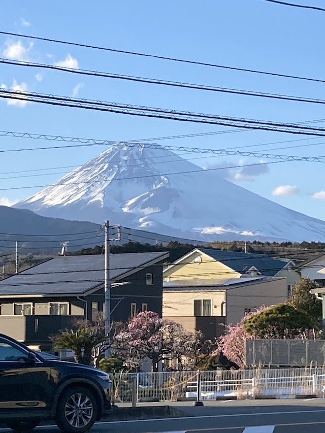 富士山の画像