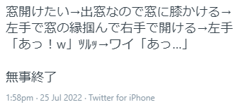 だいこん畑