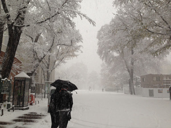 f:id:diehexen:20161117210506j:plain