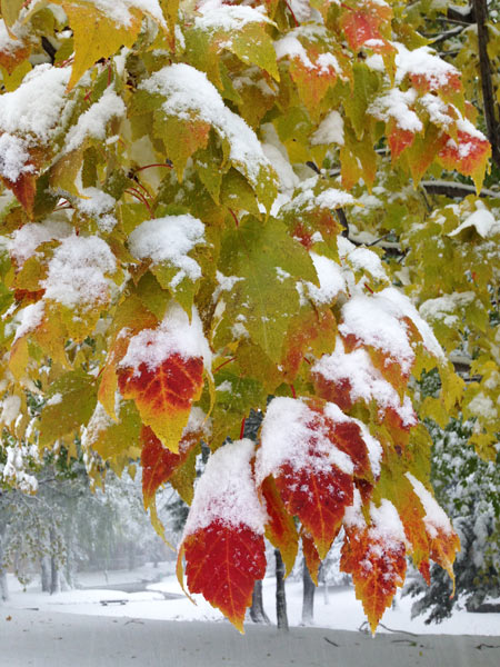 f:id:diehexen:20161117211037j:plain