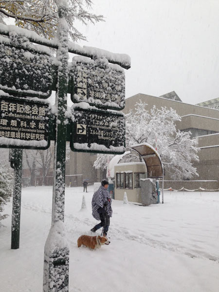 f:id:diehexen:20161117211301j:plain