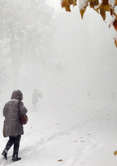 f:id:diehexen:20161117213133j:plain