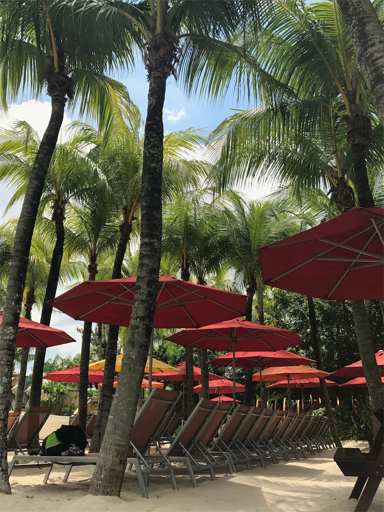 f:id:diehexen:20170513042545j:image f:id:diehexen:20170513042545j:image