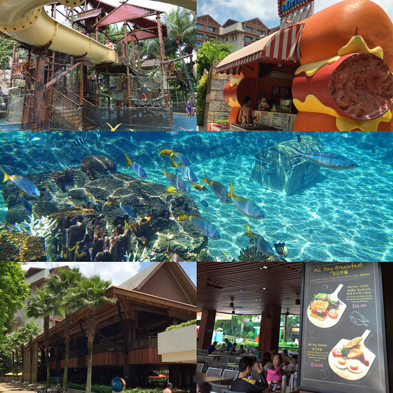 f:id:diehexen:20170513134427j:plain f:id:diehexen:20170513134427j:plain