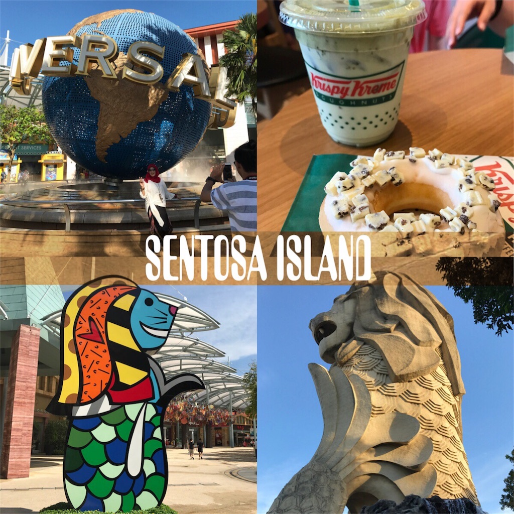 f:id:diehexen:20170513225710j:image f:id:diehexen:20170513225710j:image