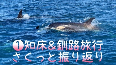 f:id:diehexen:20190715234405j:plain