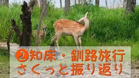 f:id:diehexen:20190716225551j:image