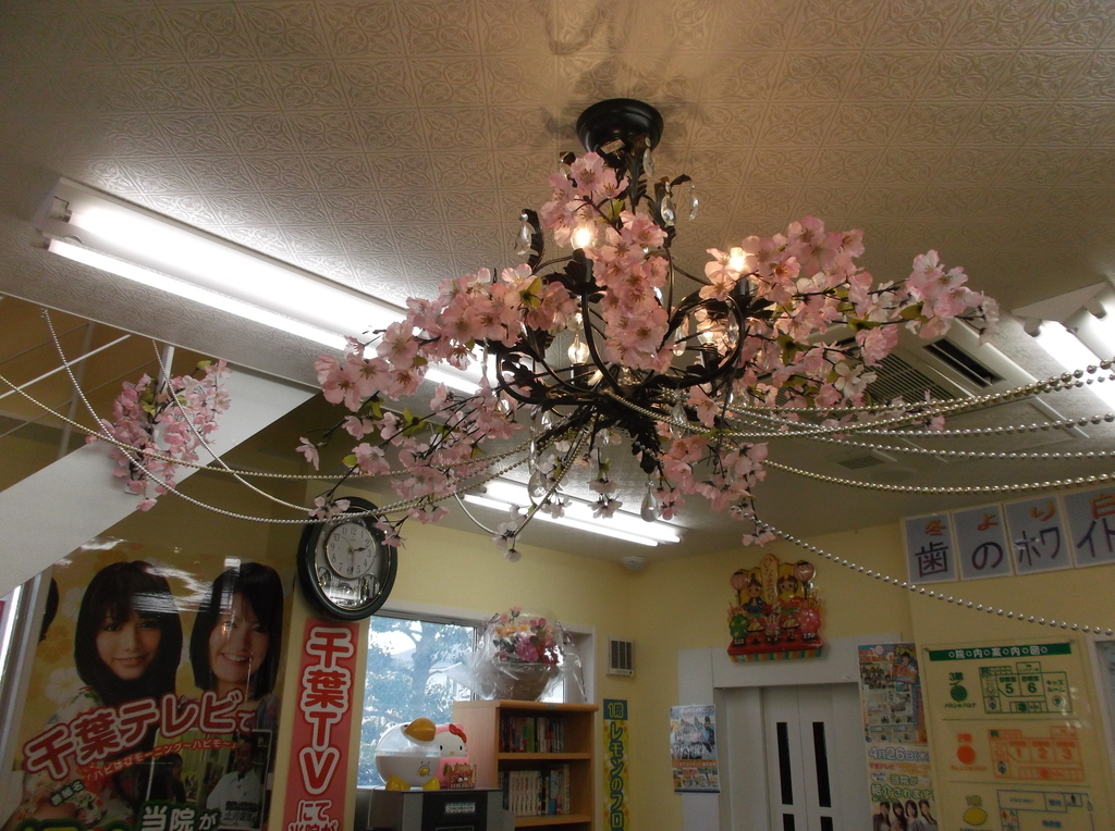 f:id:diet-hatsumo:20190225235216j:plain