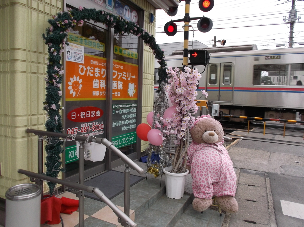 f:id:diet-hatsumo:20190225235352j:plain