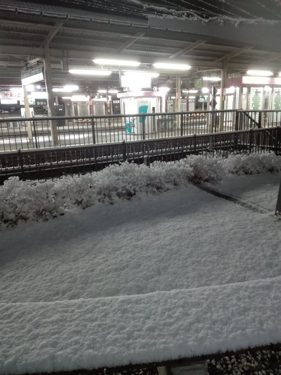 f:id:diet-hatsumo:20190408223224j:plain