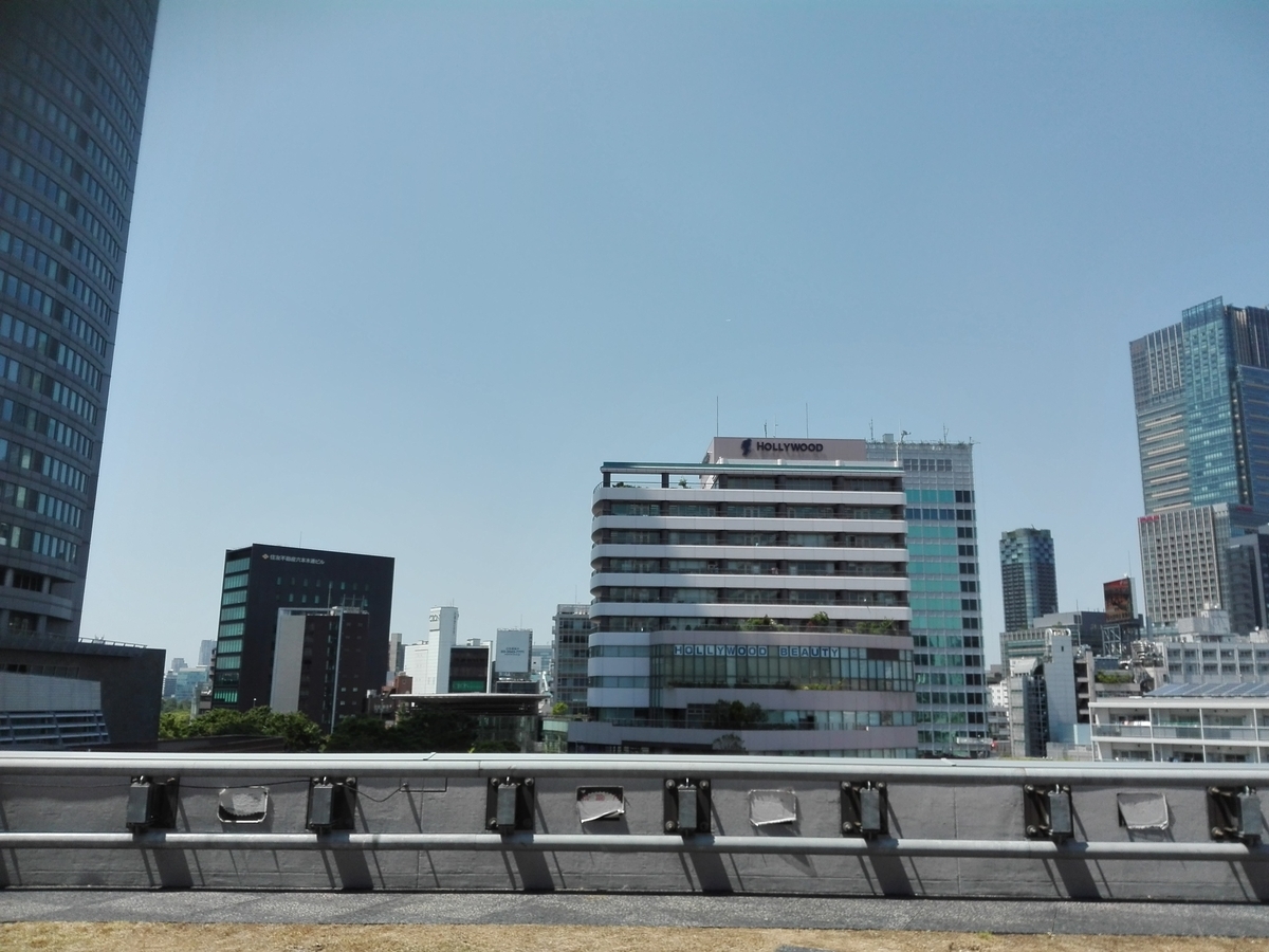 f:id:diet-hatsumo:20190728035515j:plain