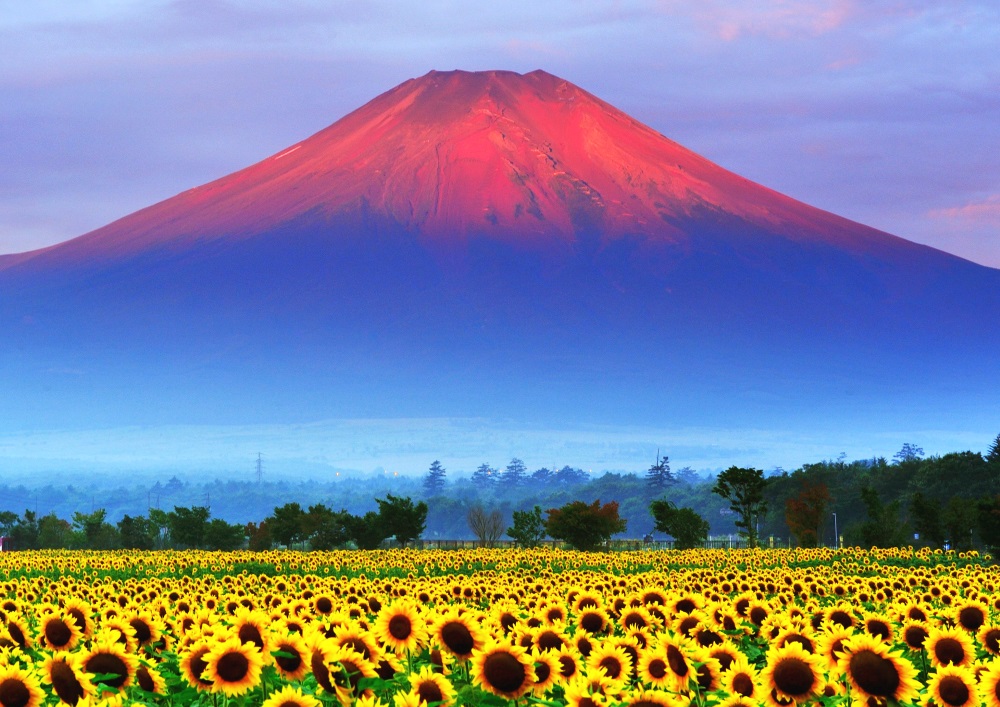 f:id:diet-hatsumo:20191214233430j:plain f:id:diet-hatsumo:20191214233430j:plain