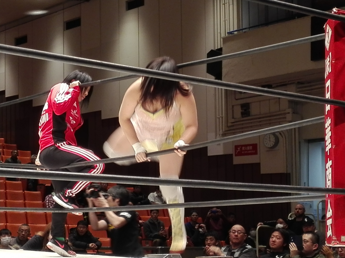 長浜浩江　プロレスラー プロレスリングWAVE,HIRO'e（ひろえ）,長浜浩江,引退,女子プロレス - ダイ☆はつ Vファイブ