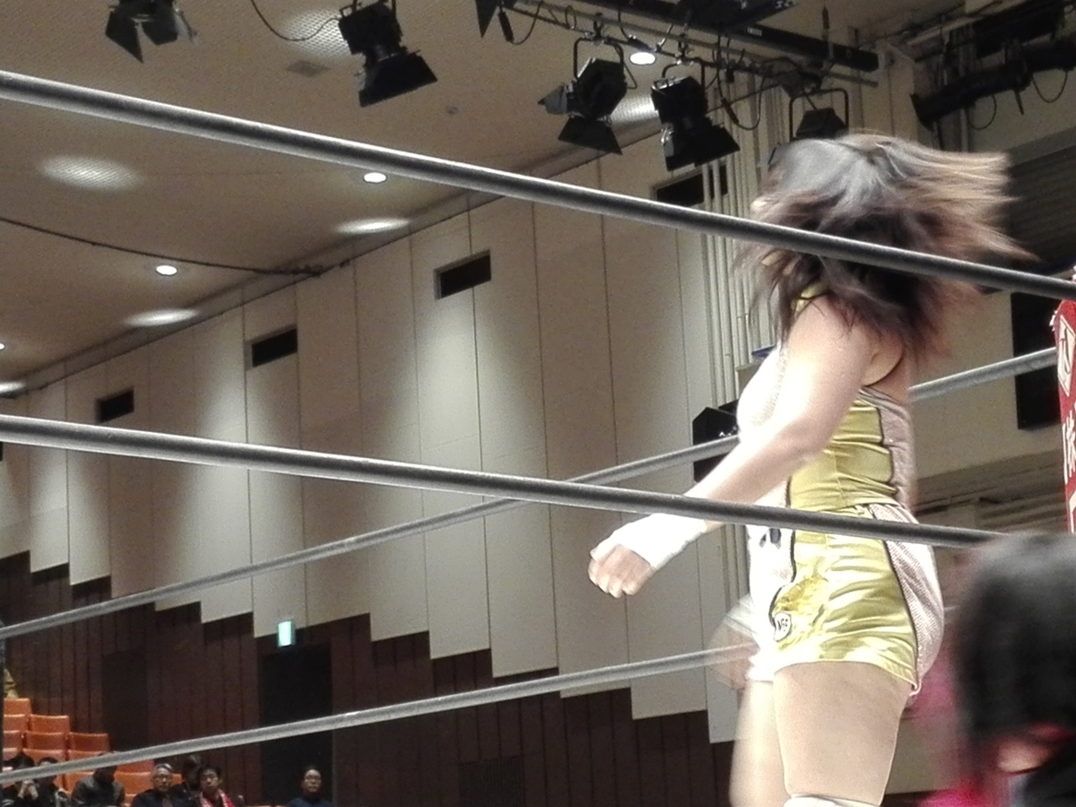 長浜浩江　プロレスラー プロレスリングWAVE,HIRO'e（ひろえ）,長浜浩江,引退,女子プロレス - ダイ☆はつ Vファイブ