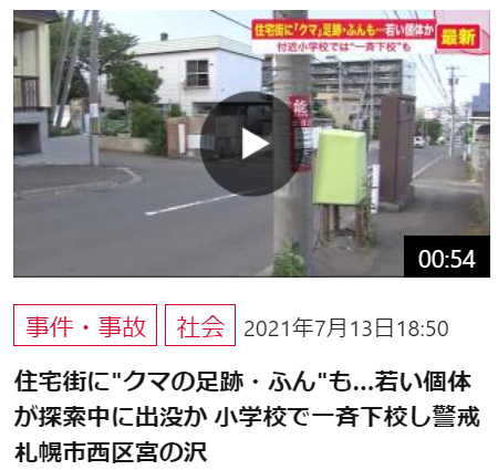 f:id:diet-hatsumo:20210717222640p:plain