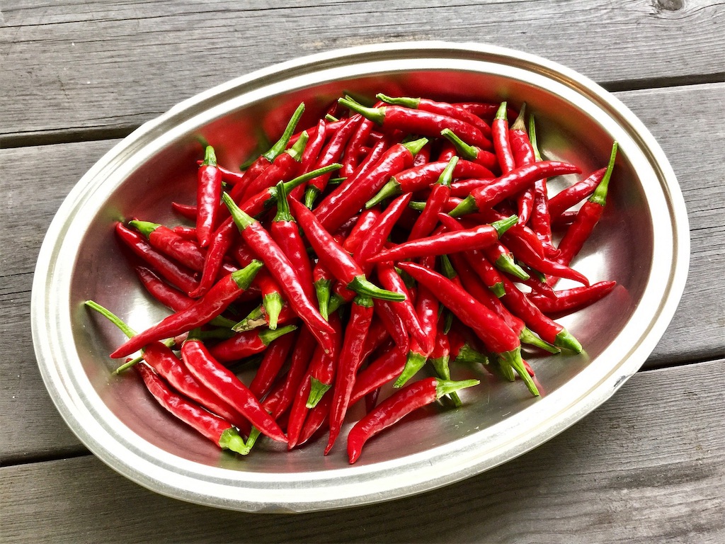 f:id:diet-merit:20190510154305j:image f:id:diet-merit:20190510154305j:image