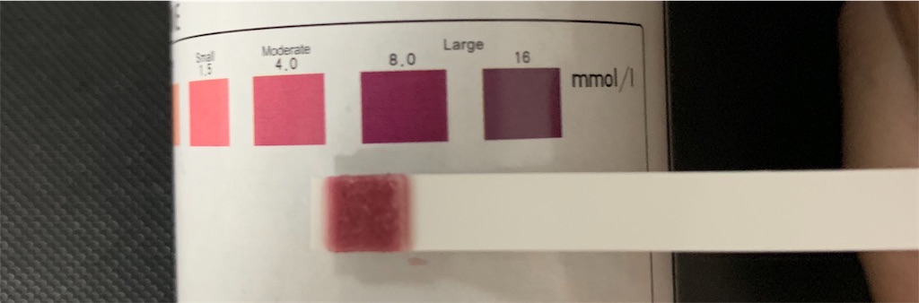 f:id:diet-merit:20191004103415j:image