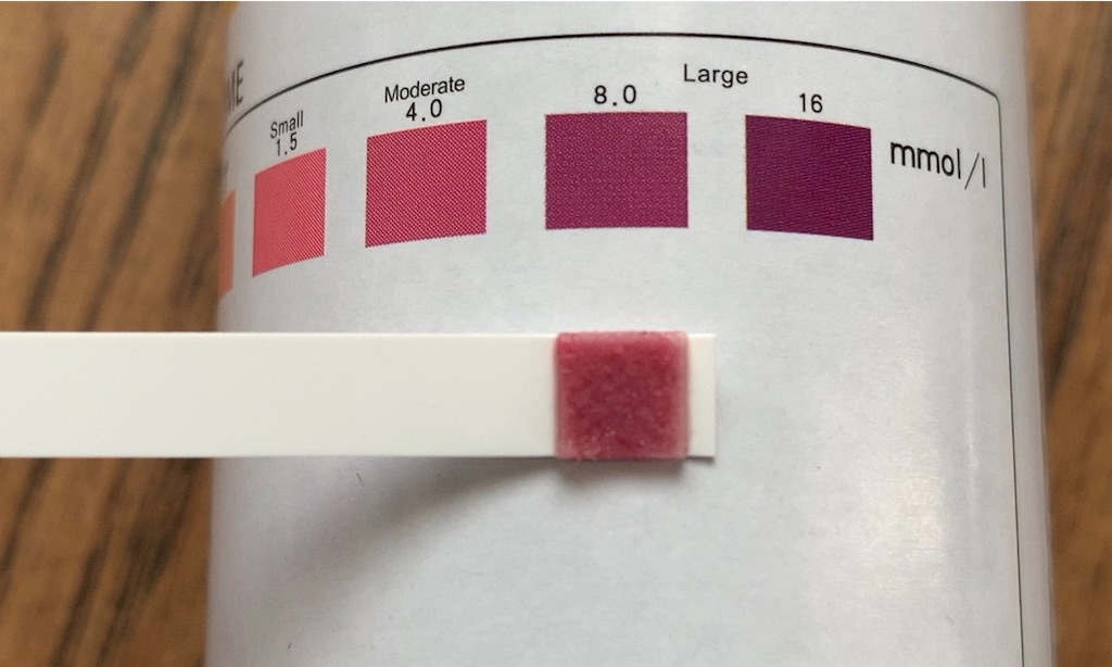 f:id:diet-merit:20191012133431j:image