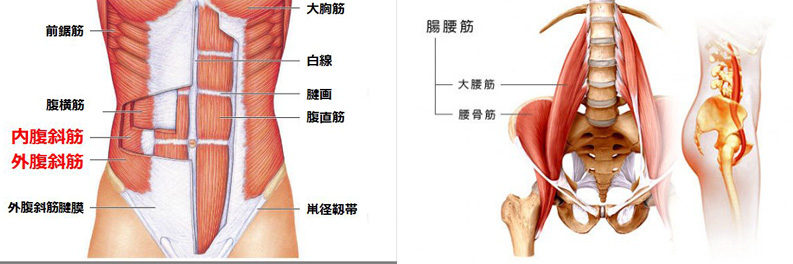 ダイエット開始から6ヶ月 ウエスト 7cm アラフォー主婦の目指せサブ3 練習録