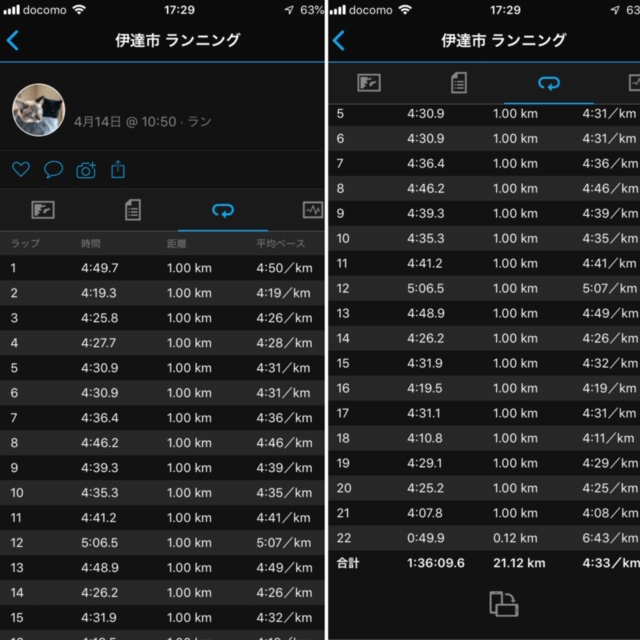f:id:dietchallange:20190416164418j:plain